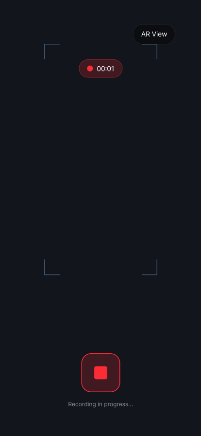 Recording interface