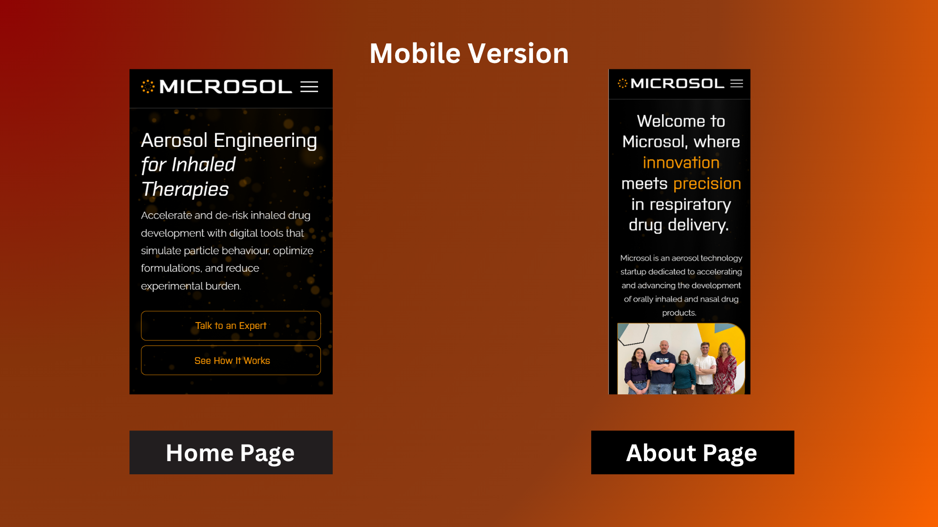 Final responsive Microsol website designs